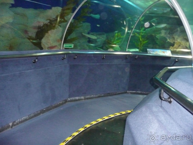 Из мороза России  в тепло Малайзии, на пляжи Пангкора, самостоятельно в январе  2015г.