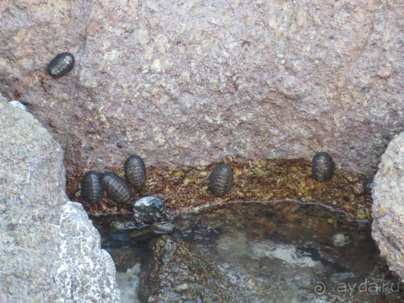 Из мороза России  в тепло Малайзии, на пляжи Пангкора, самостоятельно в январе  2015г.