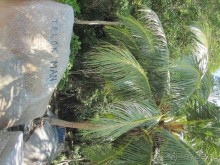 Из мороза России  в тепло Малайзии, на пляжи Пангкора, самостоятельно в январе  2015г.