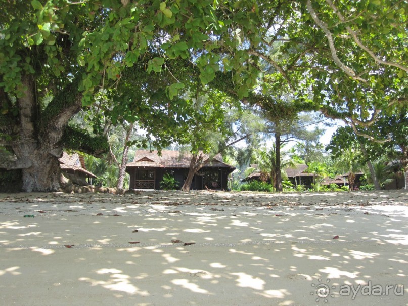 Из мороза России  в тепло Малайзии, на пляжи Пангкора, самостоятельно в январе  2015г.