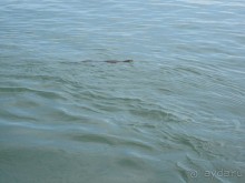 Из мороза России  в тепло Малайзии, на пляжи Пангкора, самостоятельно в январе  2015г.