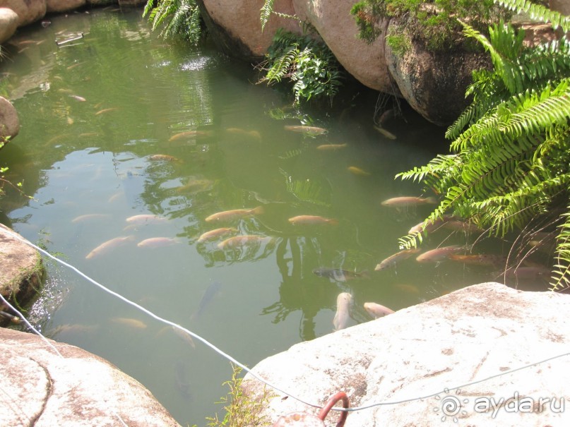 Из мороза России  в тепло Малайзии, на пляжи Пангкора, самостоятельно в январе  2015г.