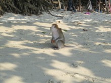 Из мороза России  в тепло Малайзии, на пляжи Пангкора, самостоятельно в январе  2015г.