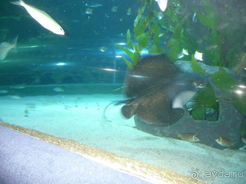 Из мороза России  в тепло Малайзии, на пляжи Пангкора, самостоятельно в январе  2015г.