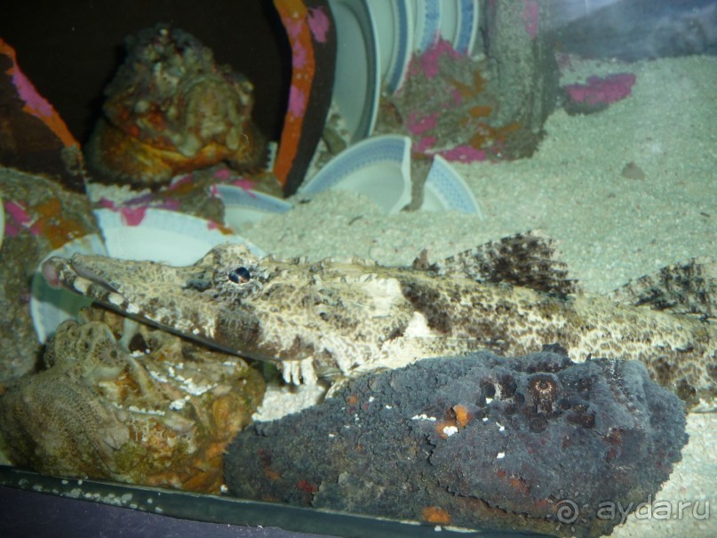 Из мороза России  в тепло Малайзии, на пляжи Пангкора, самостоятельно в январе  2015г.