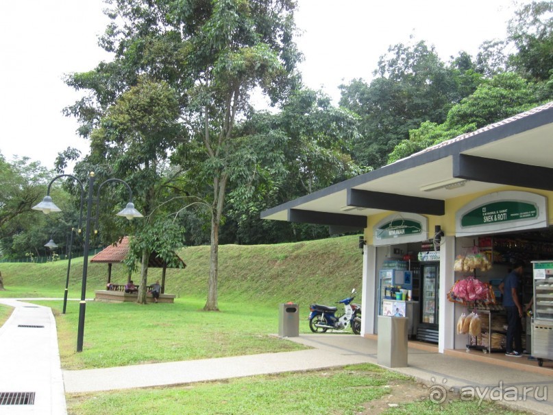 Из мороза России  в тепло Малайзии, на пляжи Пангкора, самостоятельно в январе  2015г.