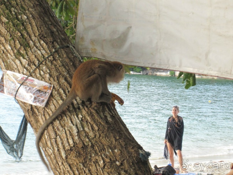 Из мороза России  в тепло Малайзии, на пляжи Пангкора, самостоятельно в январе  2015г.