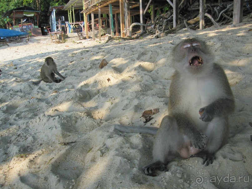 Из мороза России  в тепло Малайзии, на пляжи Пангкора, самостоятельно в январе  2015г.