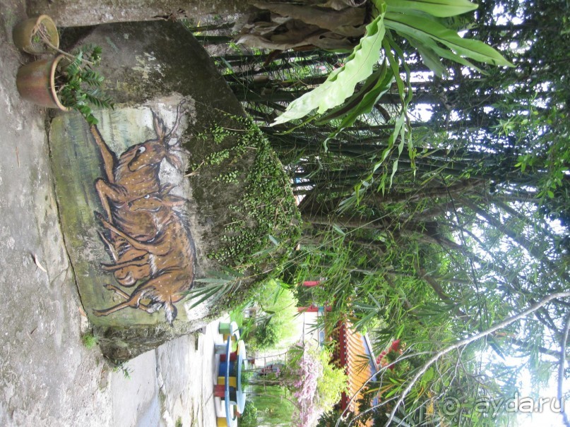 Из мороза России  в тепло Малайзии, на пляжи Пангкора, самостоятельно в январе  2015г.