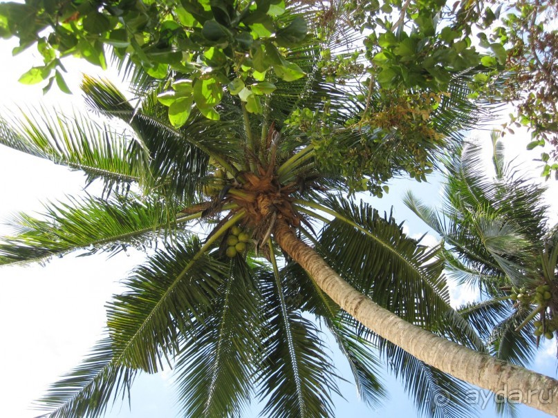 Из мороза России  в тепло Малайзии, на пляжи Пангкора, самостоятельно в январе  2015г.