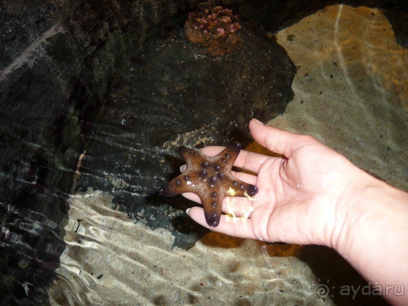 Из мороза России  в тепло Малайзии, на пляжи Пангкора, самостоятельно в январе  2015г.