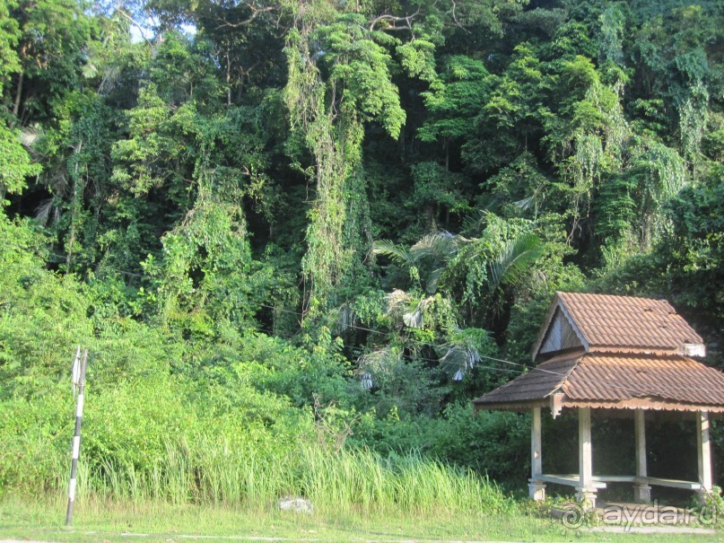 Из мороза России  в тепло Малайзии, на пляжи Пангкора, самостоятельно в январе  2015г.