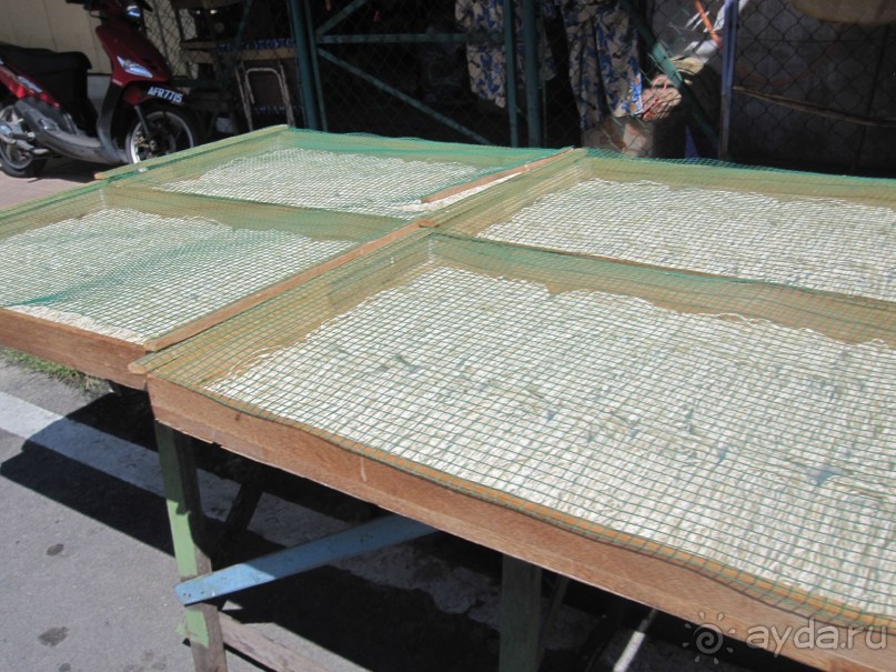 Из мороза России  в тепло Малайзии, на пляжи Пангкора, самостоятельно в январе  2015г.