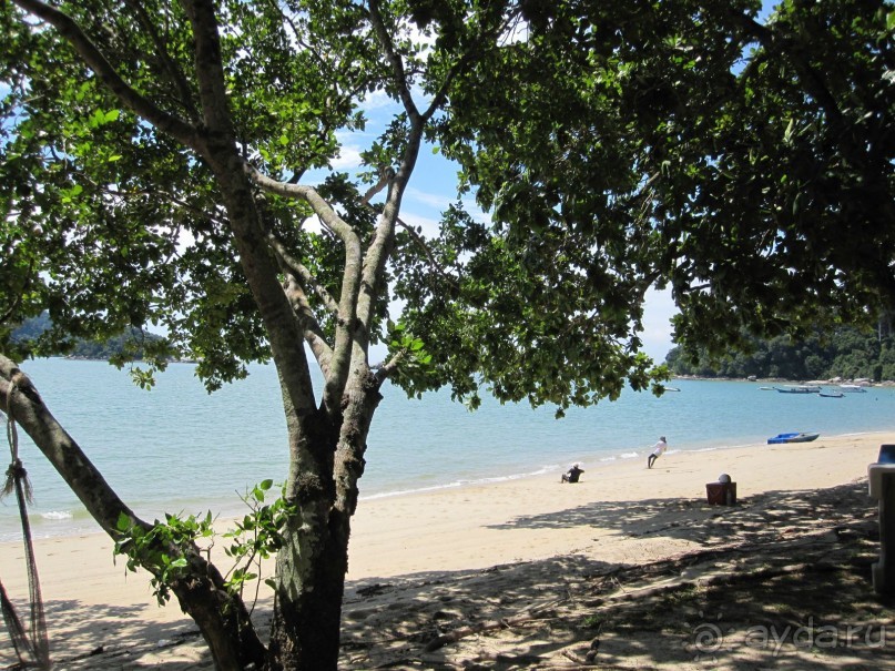 Из мороза России  в тепло Малайзии, на пляжи Пангкора, самостоятельно в январе  2015г.