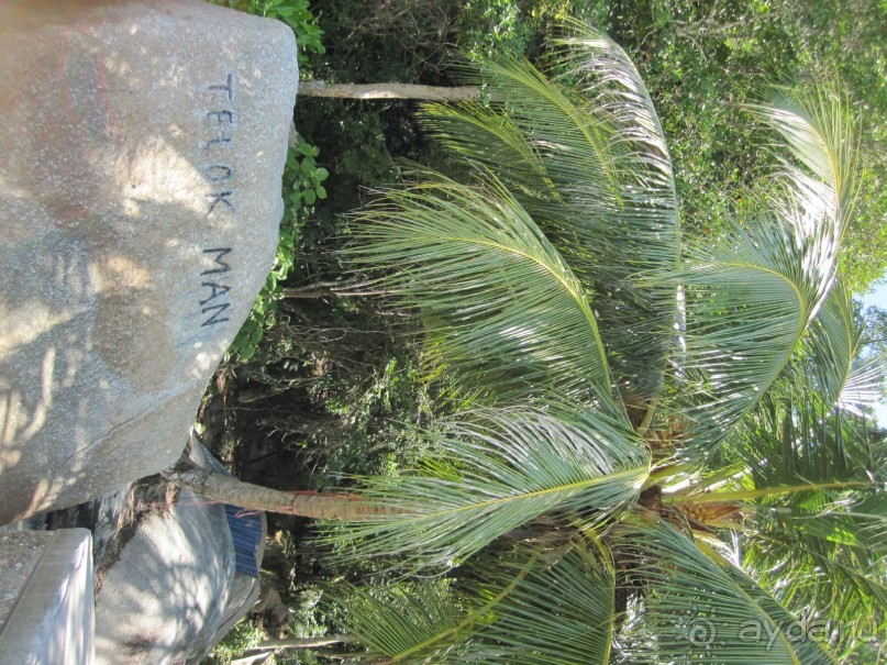 Из мороза России  в тепло Малайзии, на пляжи Пангкора, самостоятельно в январе  2015г.