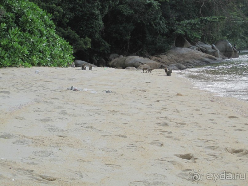 Из мороза России  в тепло Малайзии, на пляжи Пангкора, самостоятельно в январе  2015г.