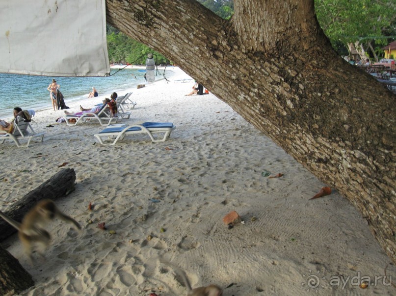 Из мороза России  в тепло Малайзии, на пляжи Пангкора, самостоятельно в январе  2015г.