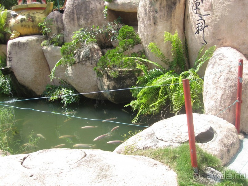 Из мороза России  в тепло Малайзии, на пляжи Пангкора, самостоятельно в январе  2015г.