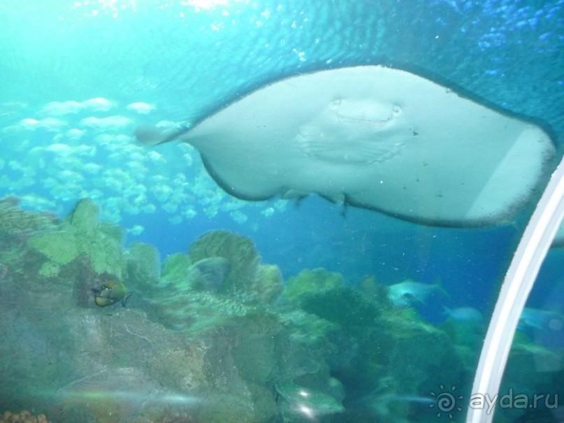 Из мороза России  в тепло Малайзии, на пляжи Пангкора, самостоятельно в январе  2015г.