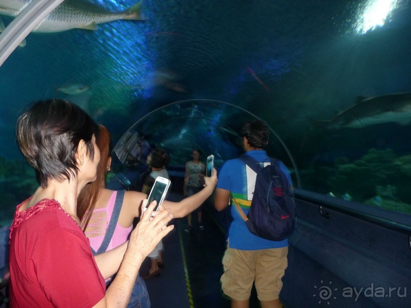 Из мороза России  в тепло Малайзии, на пляжи Пангкора, самостоятельно в январе  2015г.