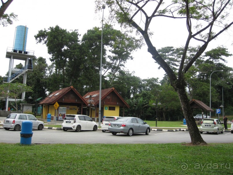 Из мороза России  в тепло Малайзии, на пляжи Пангкора, самостоятельно в январе  2015г.