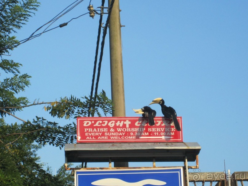 Из мороза России  в тепло Малайзии, на пляжи Пангкора, самостоятельно в январе  2015г.