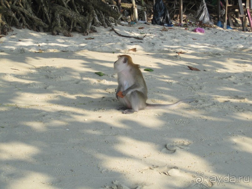 Из мороза России  в тепло Малайзии, на пляжи Пангкора, самостоятельно в январе  2015г.