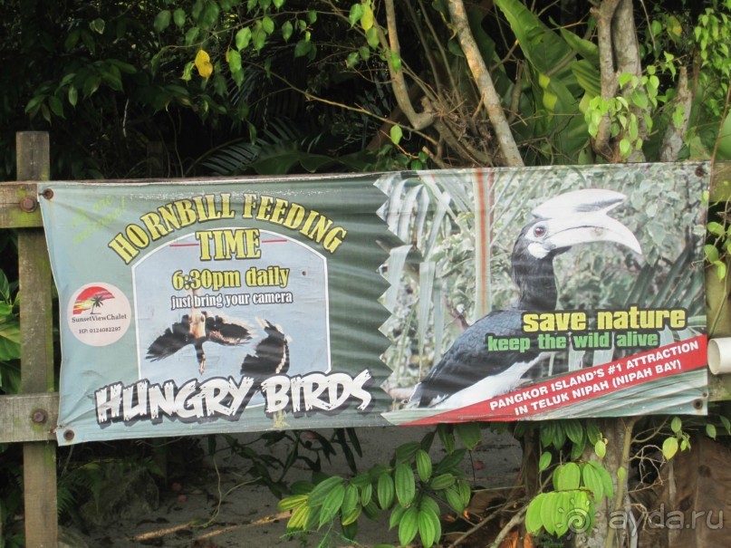 Из мороза России  в тепло Малайзии, на пляжи Пангкора, самостоятельно в январе  2015г.