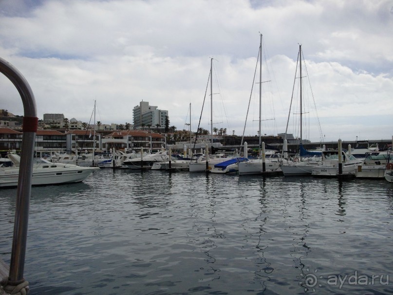 фото Luoyang Grand