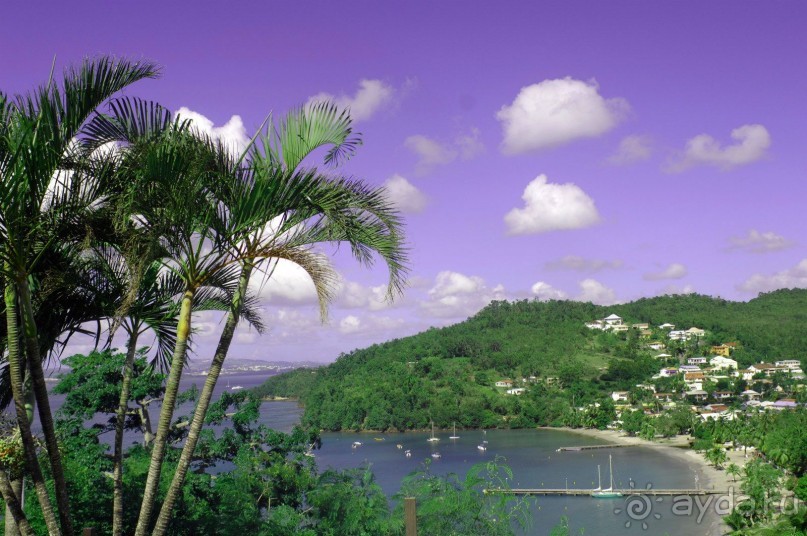 Martinique (French West Indies)