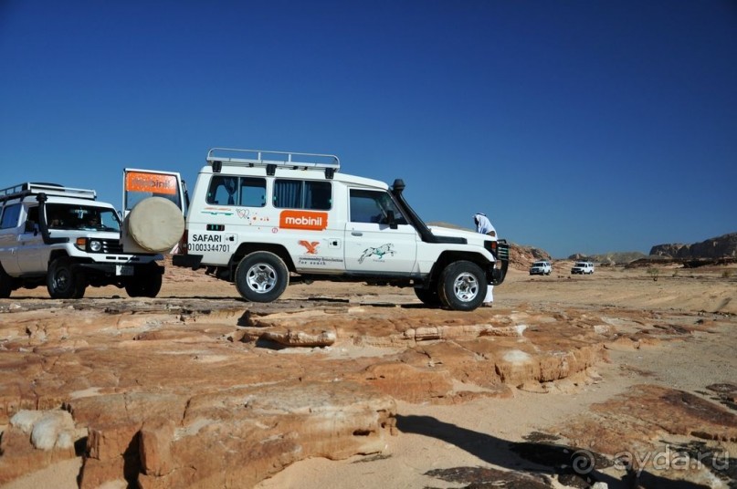 Самая лучшая экскурсия по Южному Синаю Самая лучшая экскурсия по Южному Синаю