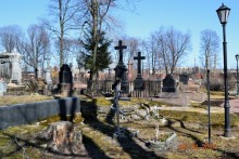 Безобразие до полного разнообразия.