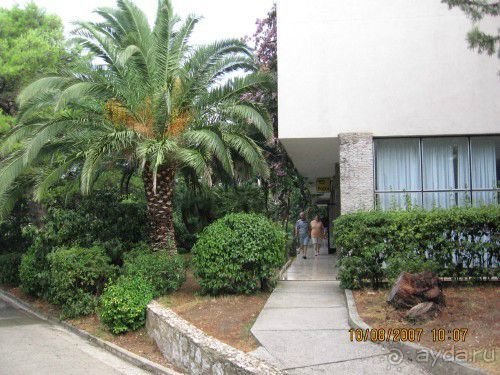 номер скромный, место замечательное!