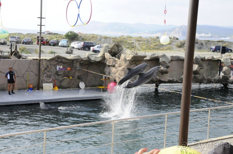 КТО ЗА ЧЕМ ЕДЕТ НА МОРЕ....