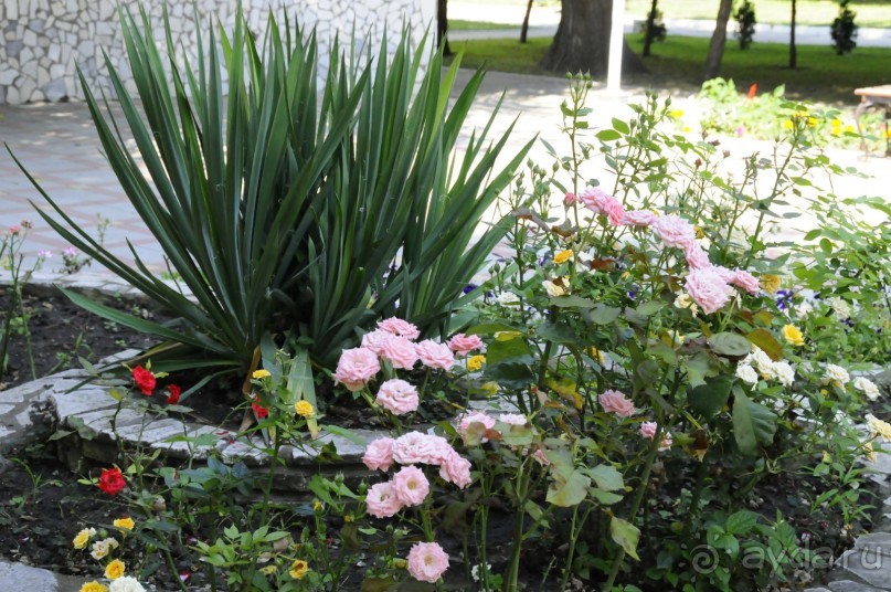 КТО ЗА ЧЕМ ЕДЕТ НА МОРЕ....