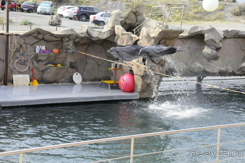 КТО ЗА ЧЕМ ЕДЕТ НА МОРЕ....