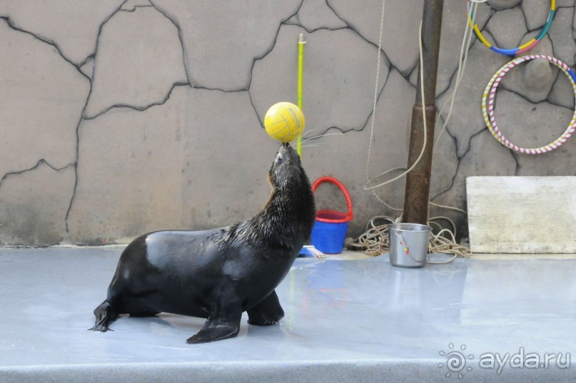 КТО ЗА ЧЕМ ЕДЕТ НА МОРЕ....