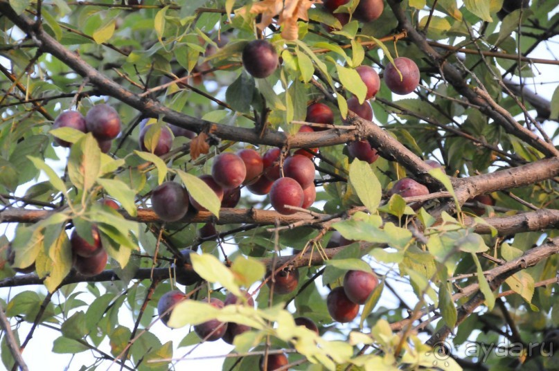 КТО ЗА ЧЕМ ЕДЕТ НА МОРЕ....