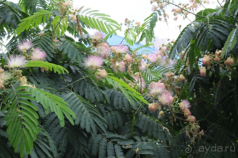 КТО ЗА ЧЕМ ЕДЕТ НА МОРЕ....