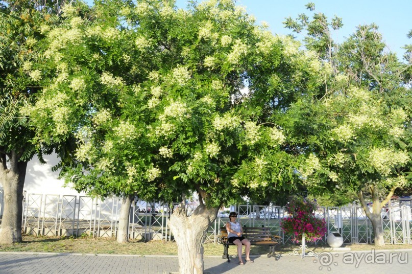 КТО ЗА ЧЕМ ЕДЕТ НА МОРЕ....