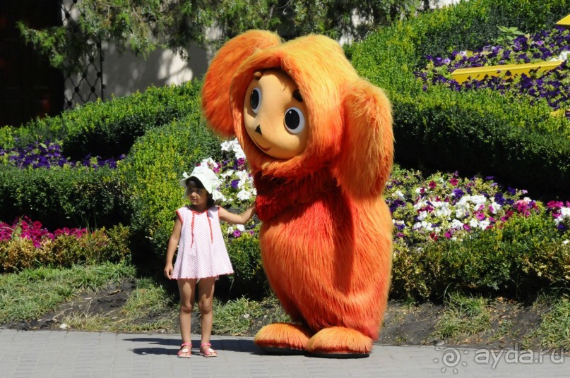 КТО ЗА ЧЕМ ЕДЕТ НА МОРЕ....