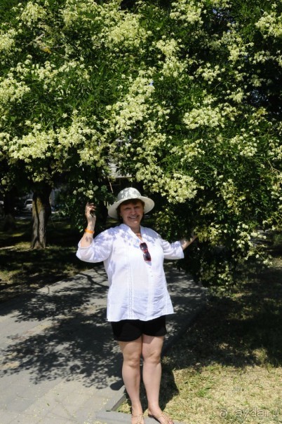 КТО ЗА ЧЕМ ЕДЕТ НА МОРЕ....