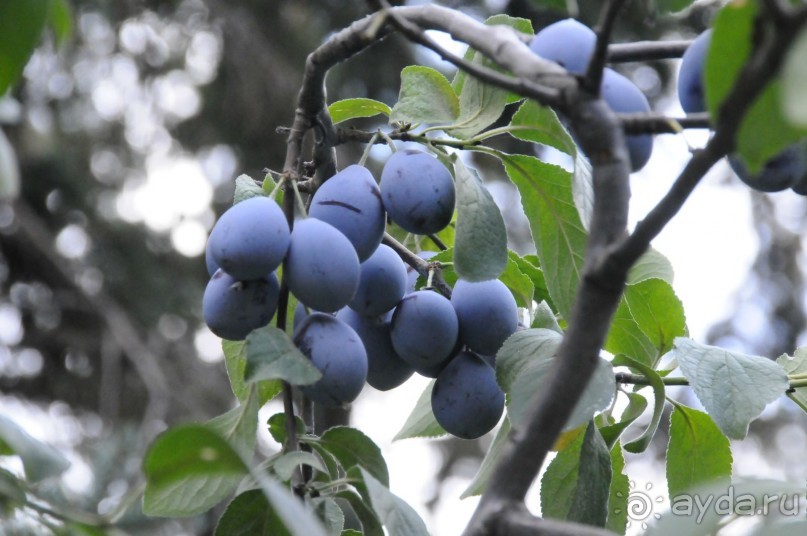 КТО ЗА ЧЕМ ЕДЕТ НА МОРЕ....