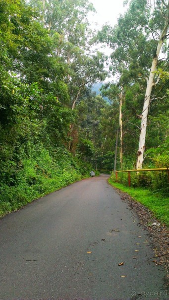 Отдых на Море Грузии - Квариати Гостиница Зура