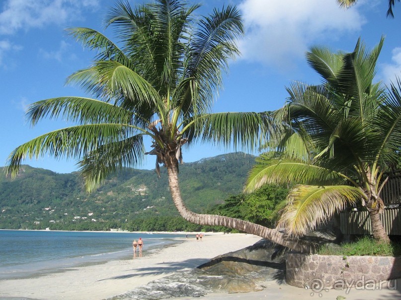 В принципе, можно жить, но не роскошно