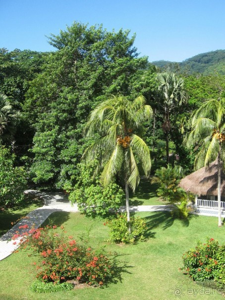 В принципе, можно жить, но не роскошно