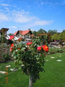 Как мы познакомились с Венгрией