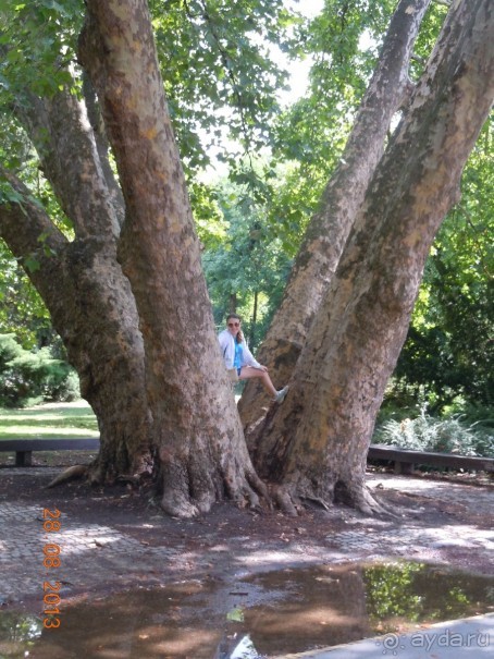 Как мы познакомились с Венгрией