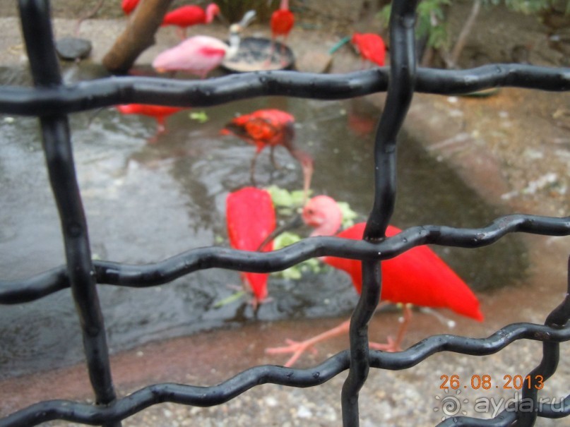 Как мы познакомились с Венгрией