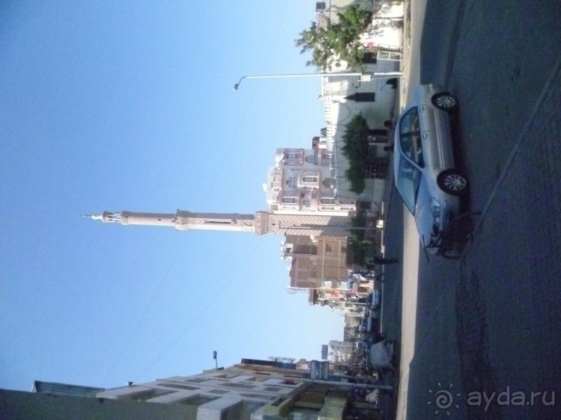 фото Bamboo Grove